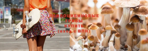 прущая мука Медногорск